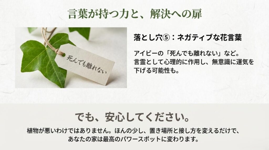 アイビーの「死んでも離れない」などの怖い花言葉が運気に与える可能性と、置き場所を変えればパワースポットになるという解決策を示したスライド