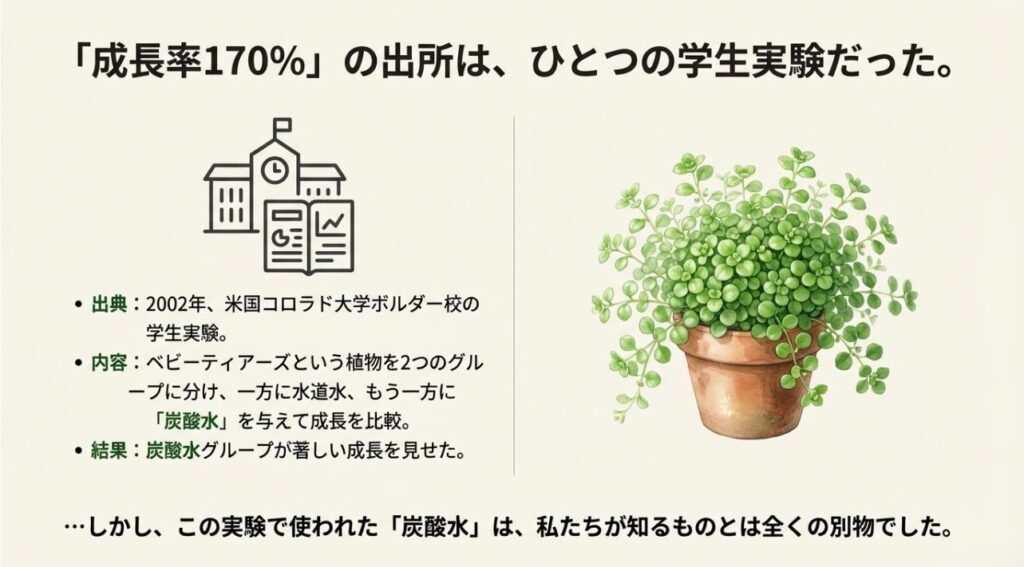 2002年の米国コロラド大学の実験内容。ベビーティアーズに水道水と炭酸水を与えて比較した結果の説明
