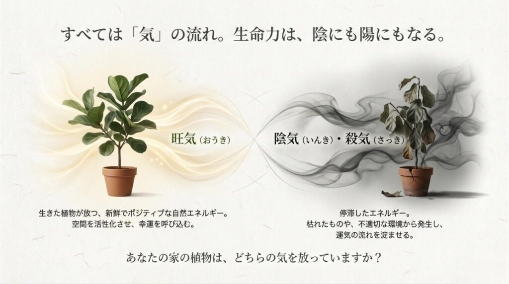 植物の生命力がポジティブな「旺気」にも、停滞した「陰気」にもなる概念を説明し、エネルギーの流れを解説したスライド