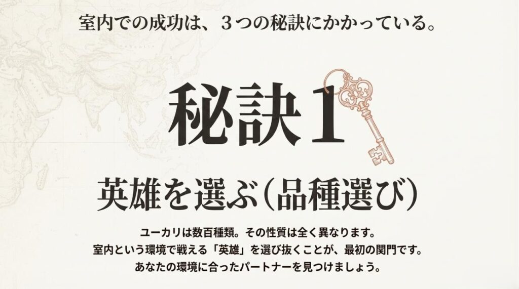 室内でユーカリを育てる秘訣1：環境に合った品種（英雄）を選ぶ重要性