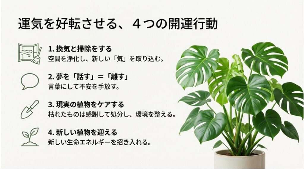 生き生きとした植物の写真と、掃除、話す、ケア、新調という4つの開運ステップのまとめ