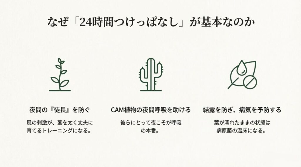 夜間の徒長防止、CAM植物の呼吸助長、結露による病気予防のメリットをまとめたスライド