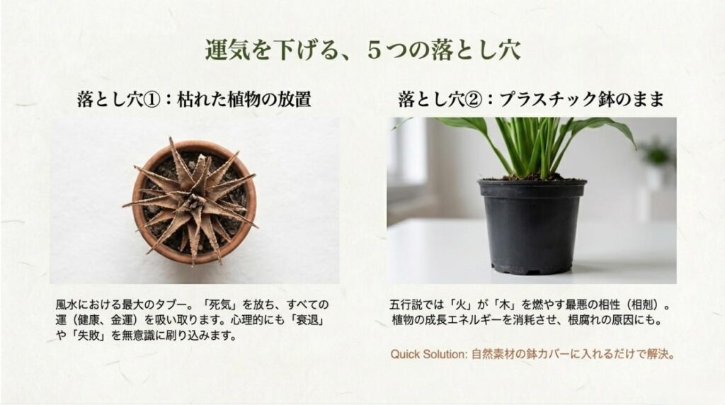 風水最大のタブーである「枯れた植物」と、植物の成長を妨げるプラスチック鉢の相性の悪さを解説したスライド