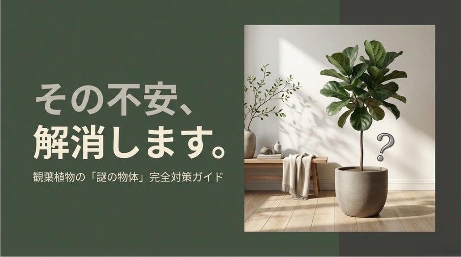 観葉植物の横に「？」マークが表示され、謎の物体への不安を解消することを伝えるアイキャッチ画像
