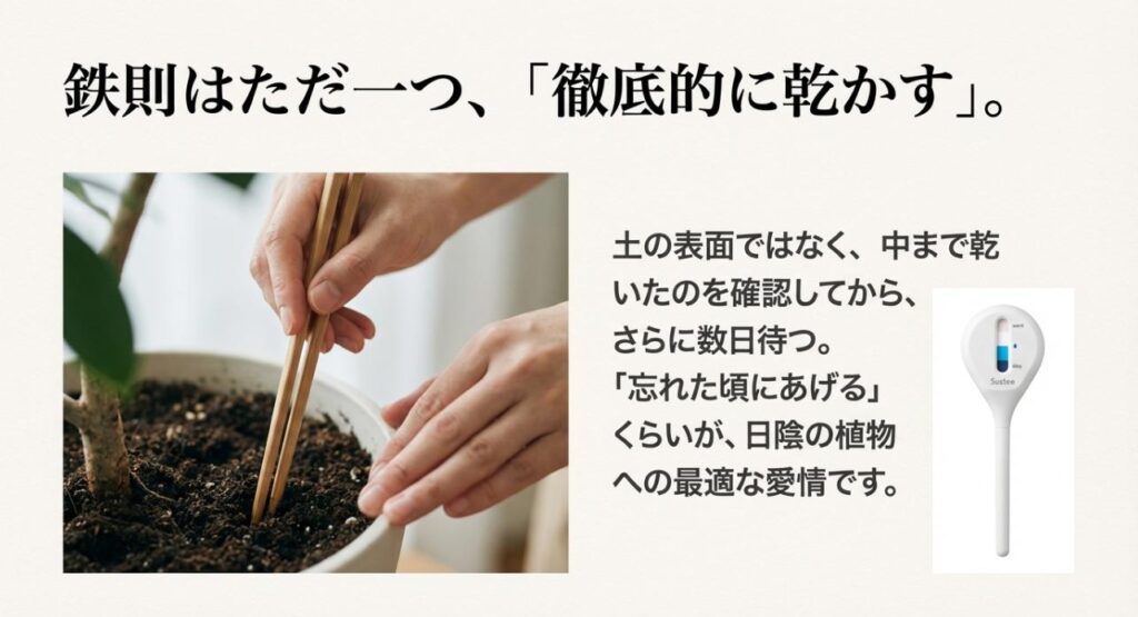 鉢の土に割り箸を刺して乾燥を確認している写真。「鉄則はただ一つ、徹底的に乾かす」というコピーと、サスティーなどの活用を示唆するスライド