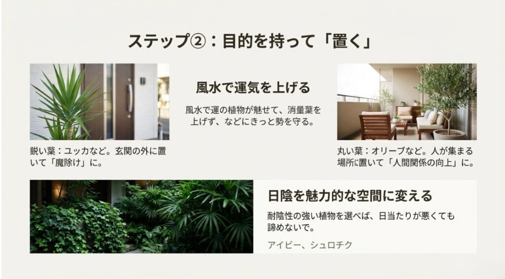 目的を持って植物を置くレイアウト術。風水における葉の形の意味と、日陰を活用する耐陰性植物の配置