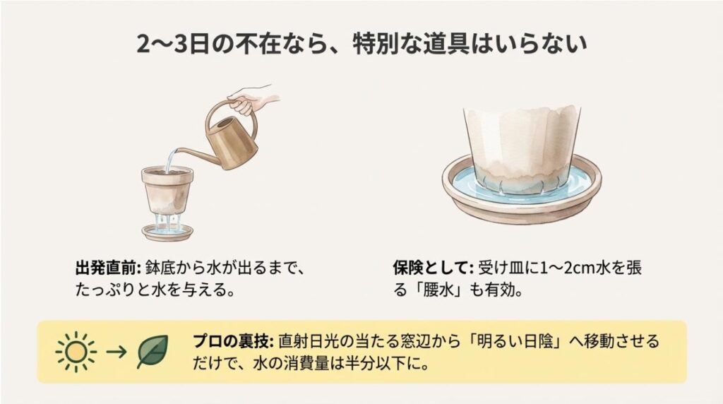 発直前のたっぷりとした水やりと、保険として受け皿に水を張る「腰水」の方法