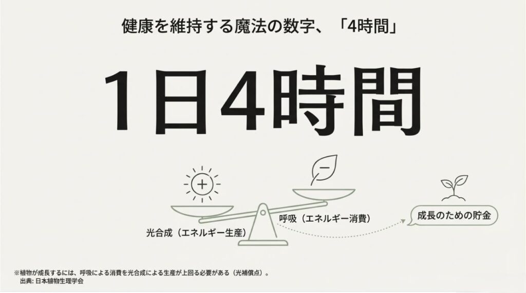 1日4時間という数字を大きく示し、光合成による生産が呼吸による消費を上回る「光補償点」の概念を説明する図解