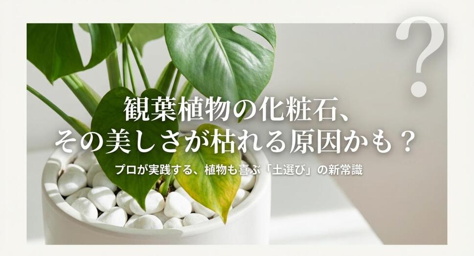観葉植物の化粧石が枯れる原因かもしれないという問題提起と、プロが教える土選びの表紙スライド