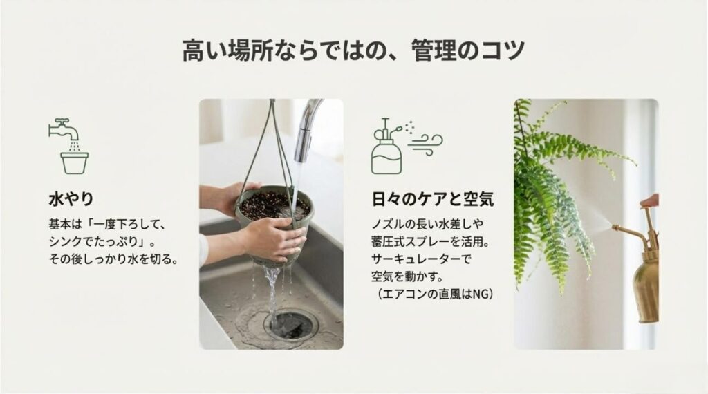 下ろしてシンクでたっぷり水を与える様子と、蓄圧式スプレーや空気循環の重要性を解説