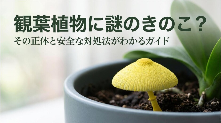 観葉植物に生えるきのこの正体と対処法を解説するガイドの表紙画像
