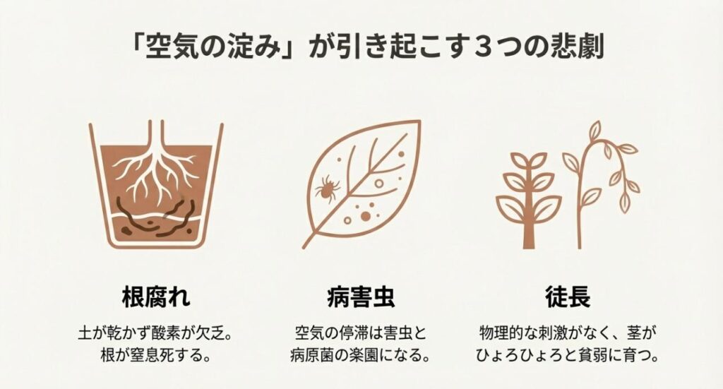 空気が動かないことで発生する根の窒息、病害虫の繁殖、茎の徒長の3つの問題