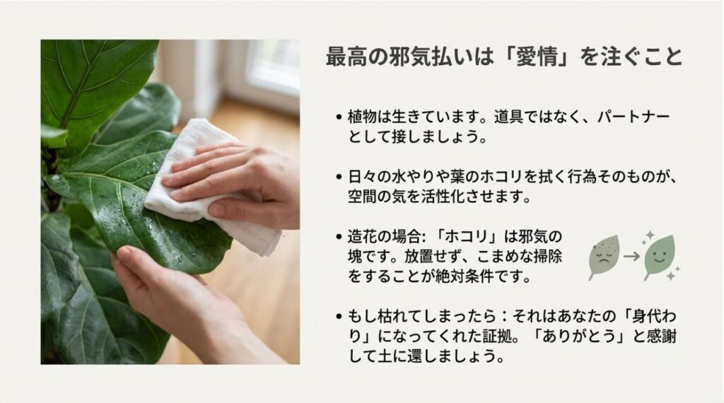 植物の葉を丁寧に拭く様子。ホコリの掃除や、植物が枯れた際の感謝の気持ちについての解説スライド