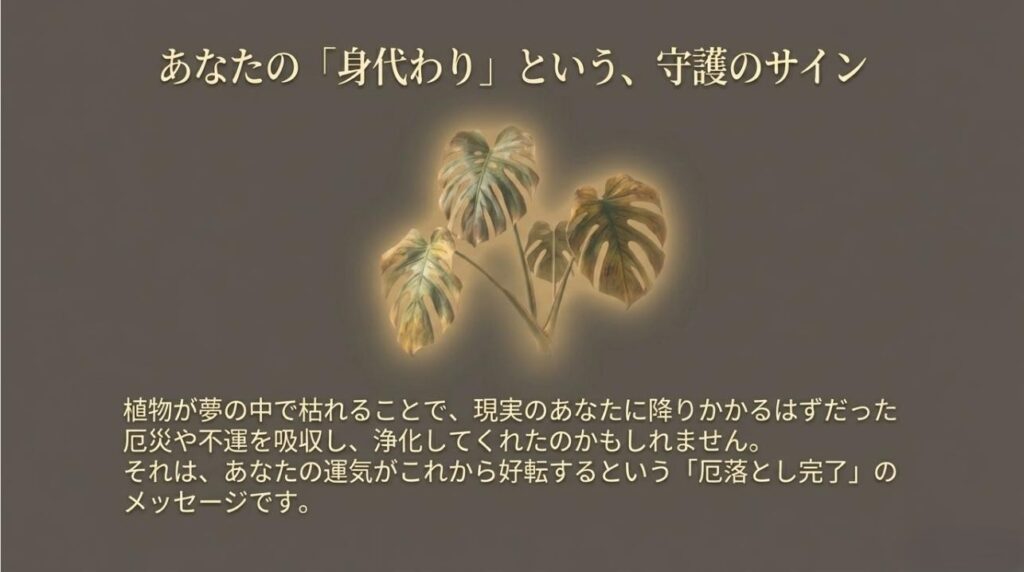 黄金色に輝くモンステラの葉と、植物が厄災を浄化してくれたことを伝えるテキスト