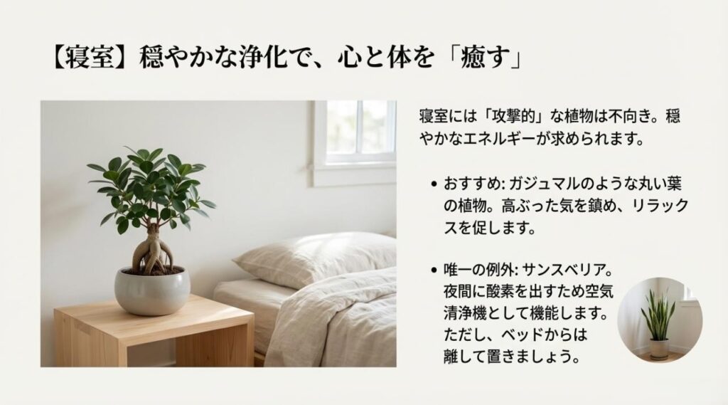 寝室のサイドテーブルに置かれた丸い葉のガジュマル。リラックス効果と夜間の酸素放出についての解説スライド