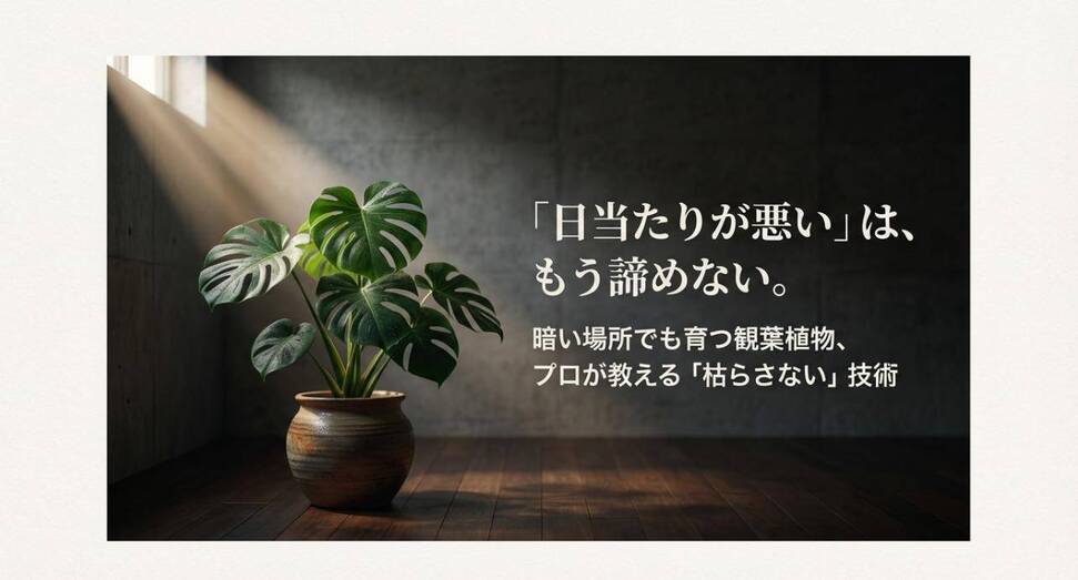 「日当たりが悪い」は、もう諦めない。暗い場所でも育つ観葉植物、プロが教える「枯らさない」技術というタイトル文字と、暗い部屋の窓辺のイメージ