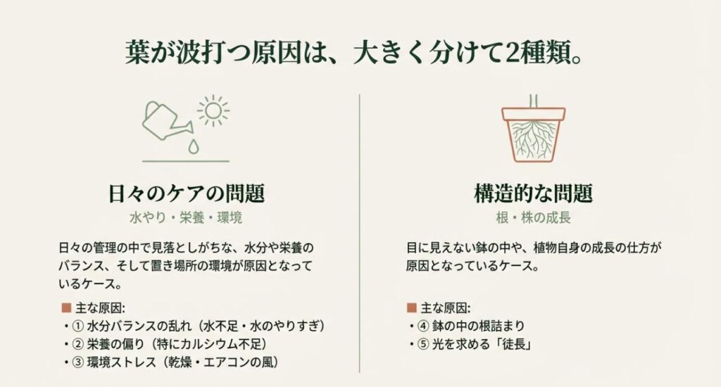 観葉植物の葉が波打つ原因の分類図。日々のケア（水・栄養・環境）と構造的な問題（根・成長）の2つに大別して解説しているスライド
