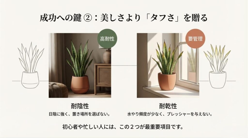 要管理の植物と高耐性の植物の比較図、日陰への強さと水やりの少なさを推奨