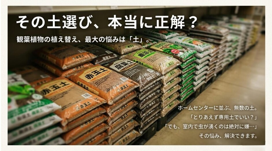 観葉植物の植え替えで悩む「土選び」と室内での虫対策を解説するアイキャッチ画像