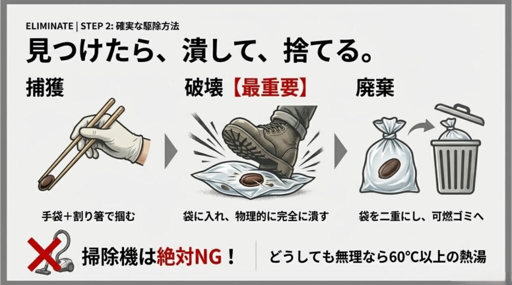 割り箸での捕獲、袋に入れての物理的破壊、廃棄方法、掃除機使用禁止を解説した駆除ガイド