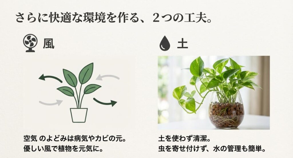 植物にとっての「風（サーキュレーター）」の重要性と、虫を寄せ付けない「土（ハイドロカルチャー）」のメリットをアイコンで示したスライド