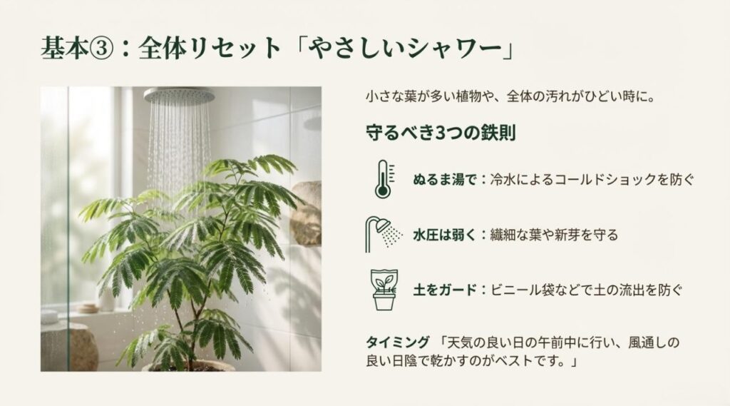 観葉植物のシャワー洗浄における3つの鉄則(水温・水圧・土の保護)