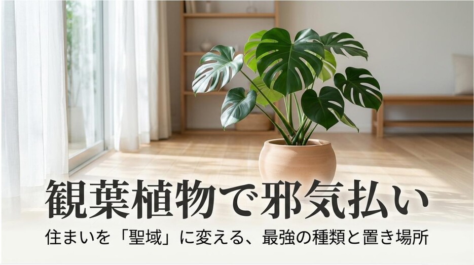 観葉植物で邪気払い、住まいを聖域に変える最強の種類と置き場所のタイトル画像