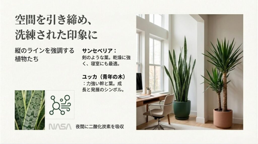サンセベリアとユッカが並ぶスタイリッシュな仕事部屋のインテリア