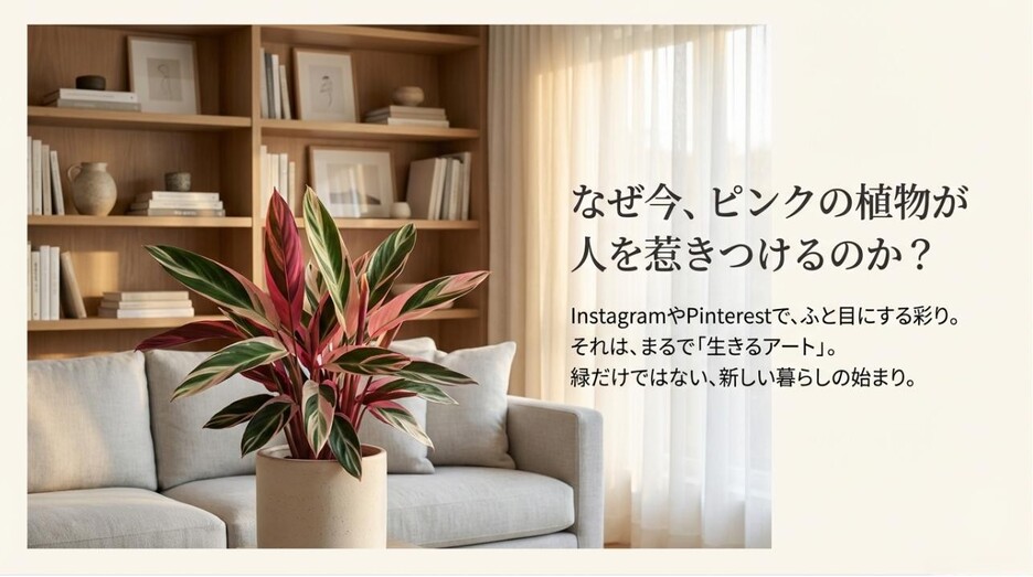 おしゃれなリビングに置かれたピンクの葉を持つ観葉植物と、記事タイトル「なぜ今、ピンクの植物が人を惹きつけるのか?」が書かれたアイキャッチ画像