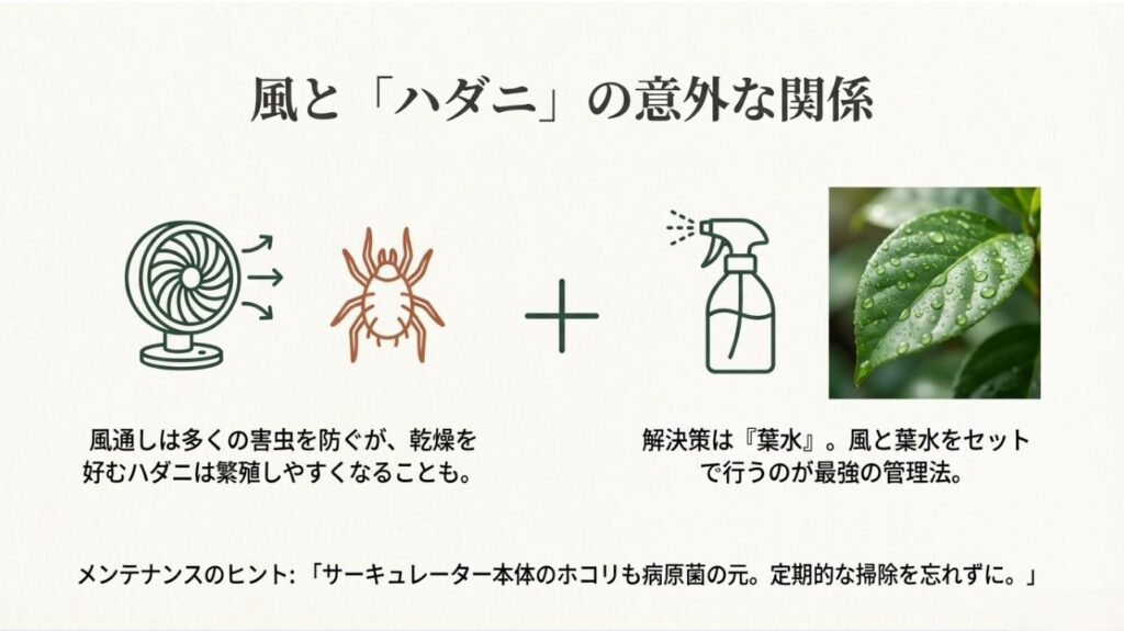 風による乾燥を葉水で防ぐ対策と、病原菌の元となるサーキュレーター本体のホコリ掃除を促すイラスト