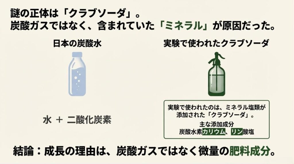 日本の炭酸水(水+二酸化炭素)と実験で使われたクラブソーダ(カリウムやリン酸塩添加)の成分比較図