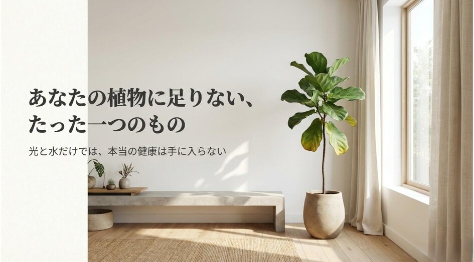 植物の健康には光と水だけでなく「風」が重要であることを伝える記事のアイキャッチ画像