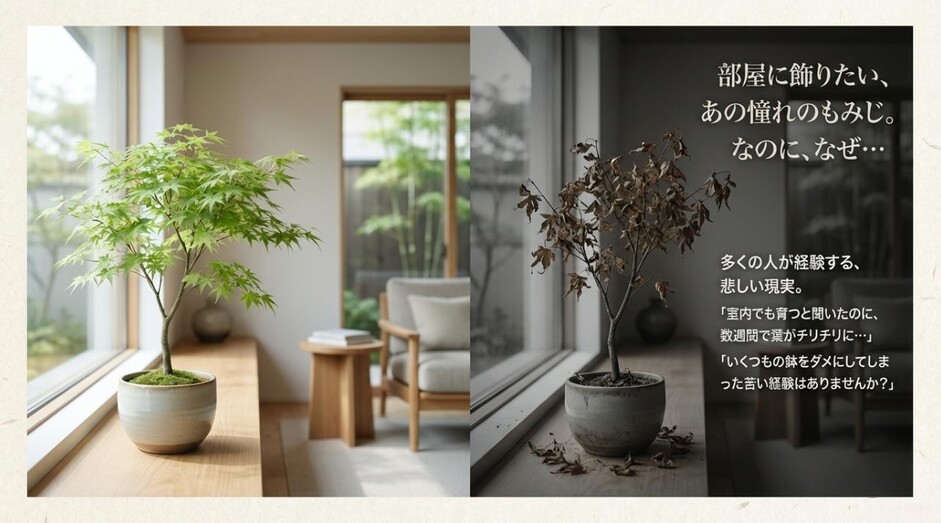 室内でもみじが枯れる悩みを解決するためのスライド表紙。「数週間で葉がチリチリに」という悩みへの解決策を提示