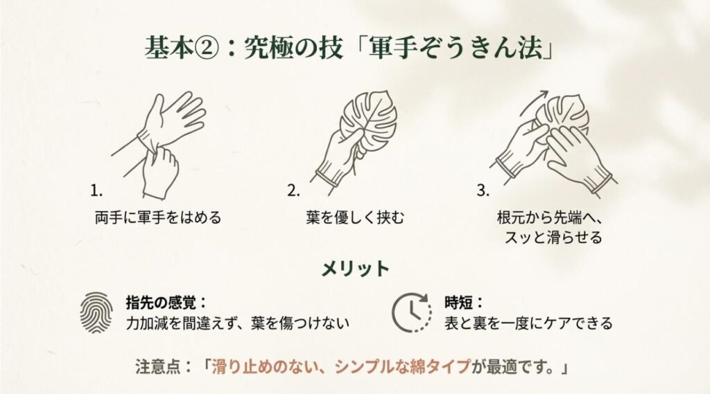 軍手ぞうきん法の具体的な手順と葉を傷つけないメリット