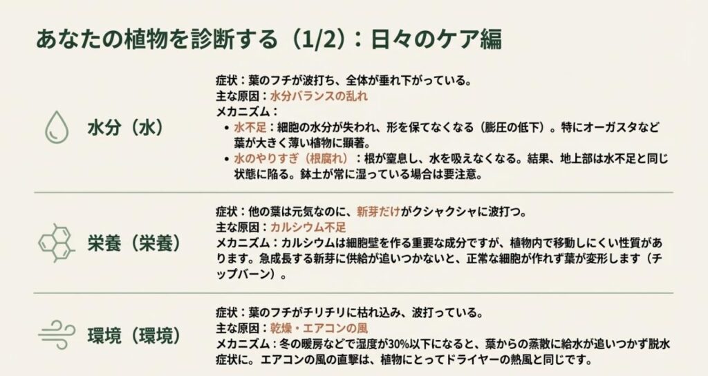 水分バランスの乱れ、カルシウム不足、環境ストレス（乾燥・エアコン）による葉の症状とメカニズムを解説した診断チャート