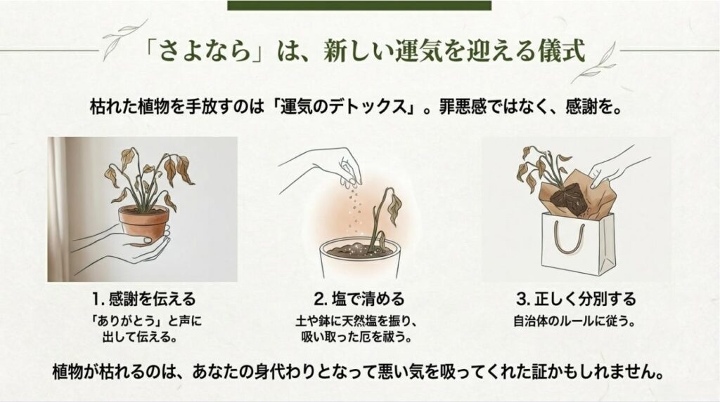 感謝を伝え、塩で清めて分別するという、運気のデトックスとしての植物の処分マナーを図解したスライド