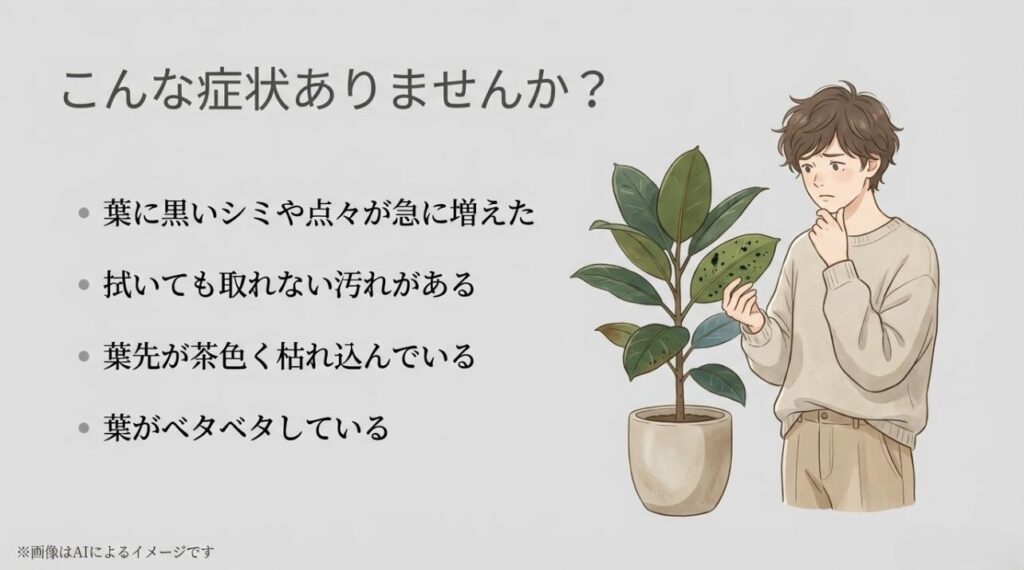 植物を心配そうに見つめる男性のイラストと、黒いシミ、拭いても取れない汚れ、葉先の枯れなどのチェックリスト