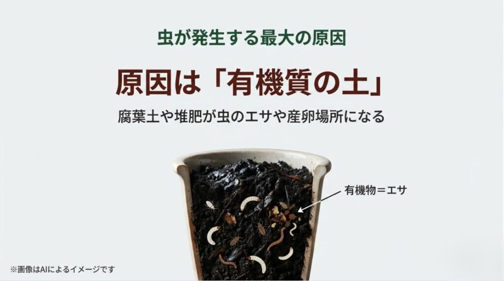 腐葉土や堆肥などの有機質の土の断面図に虫や幼虫が群がっている様子を描き、有機物がエサや産卵場所になることを解説したスライド