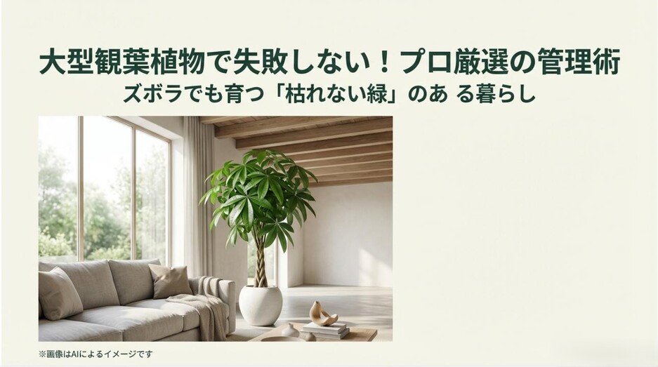 明るいリビングに置かれた立派なパキラと、ズボラでも育つ「枯れない緑」のある暮らしを提案するタイトルスライド