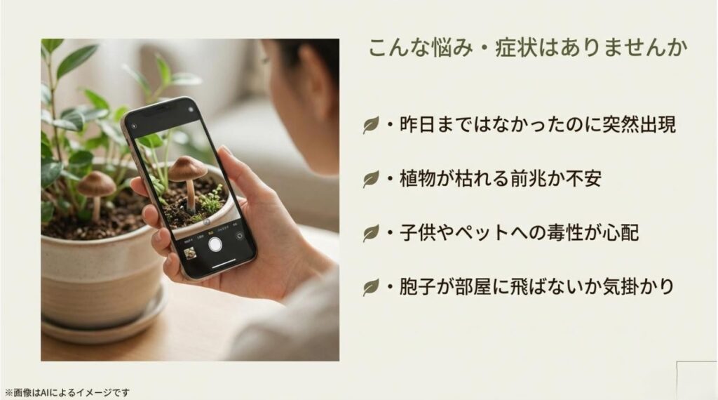 スマートフォンで鉢植えのキノコを撮影している様子と、突然の出現や毒性への不安をリスト化したスライド