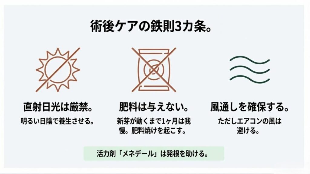 術後ケアにおける禁止事項（直射日光、肥料）と、必要な環境（風通し）を示したアイコン図解