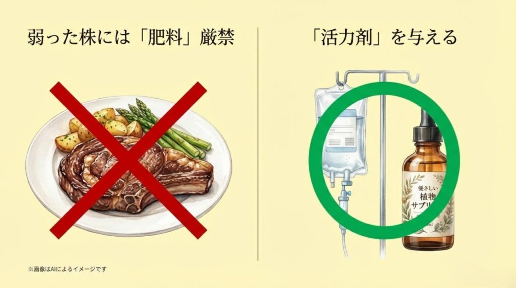 弱った植物にステーキ（肥料）を与えるNG例と、点滴（活力剤）で優しくケアするイメージを比較したスライド