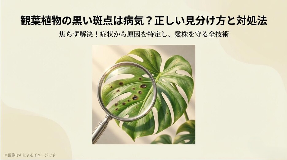 モンステラの葉にある黒い斑点を虫眼鏡で拡大して観察している様子と、正しい見分け方・対処法を伝えるメインビジュアル