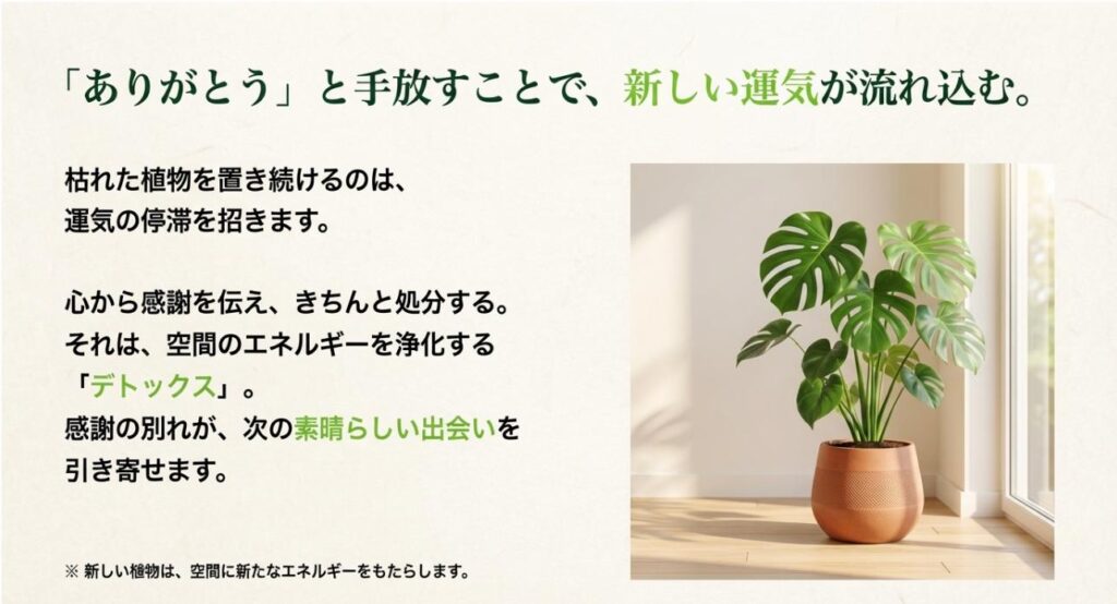 枯れた植物に感謝を伝えて処分することで、空間の運気を浄化し新しい出会いを引き寄せる風水的な考え方の図
