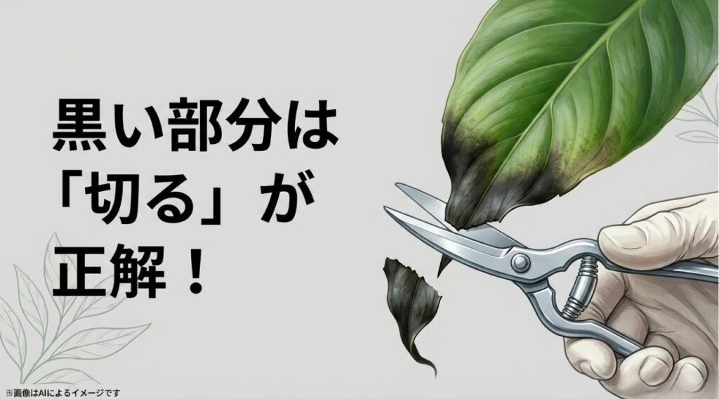観葉植物の葉の黒くなった部分をハサミで剪定している様子と、切るべきという判断を伝えるスライド