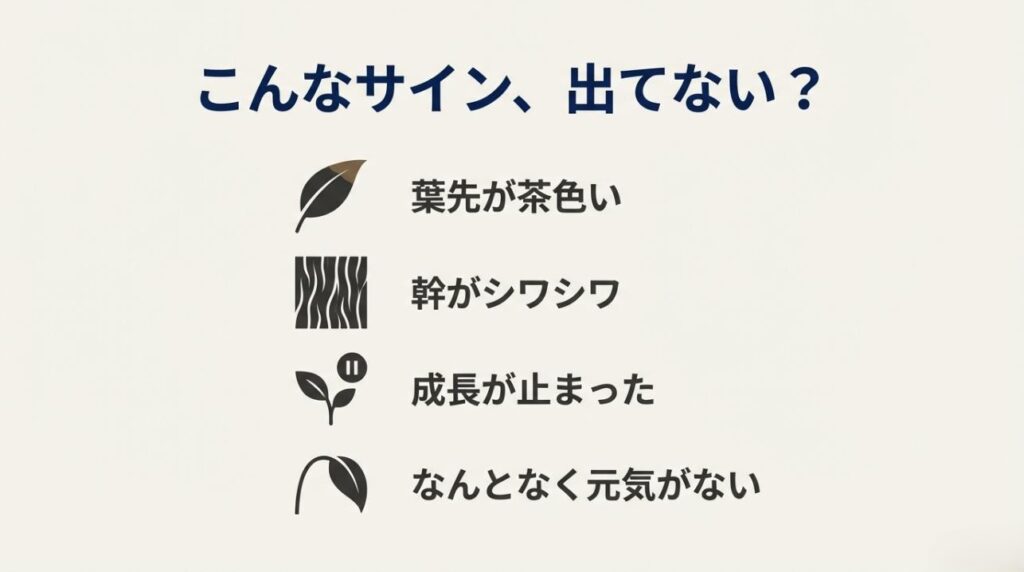 葉先が茶色い、幹がシワシワ、成長が止まったなど、ポニーテールの不調を示すサインをまとめたチェックリスト