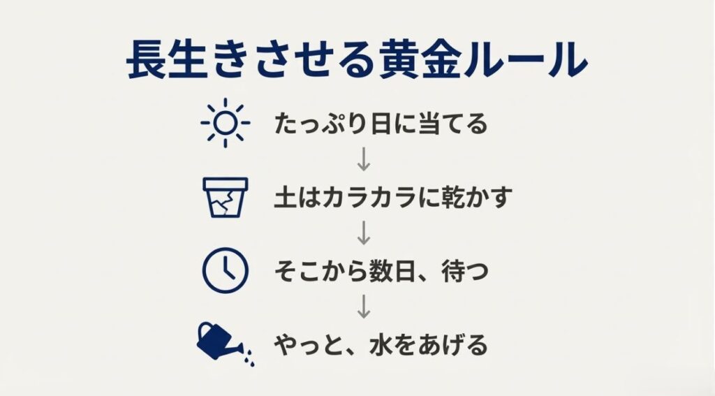日光に当てて土を乾かし、さらに数日待ってから水やりをする手順をわかりやすく図解したスライド