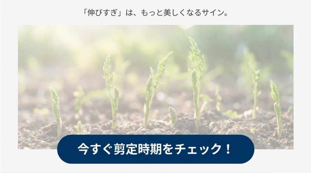朝日を浴びる植物の背景画像と、剪定時期の確認を促すメッセージスライド