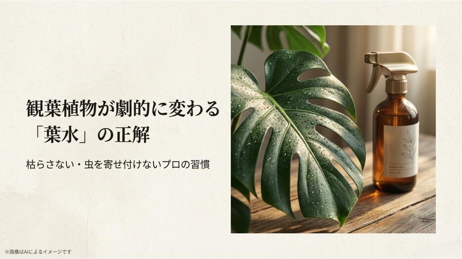 モンステラの葉に霧吹きで葉水をしている様子と、枯らさない・虫を寄せ付けないプロの習慣を伝えるタイトルのアイキャッチ画像