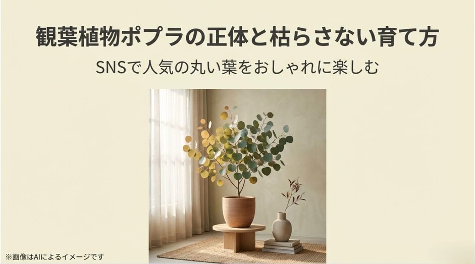 おしゃれな部屋に置かれた丸い葉の観葉植物ポポラスの鉢植えと記事タイトル